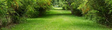 ecologische tuin