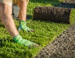 gras aanleggen tuin