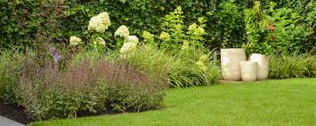 tuin aanleggen voorbeelden
