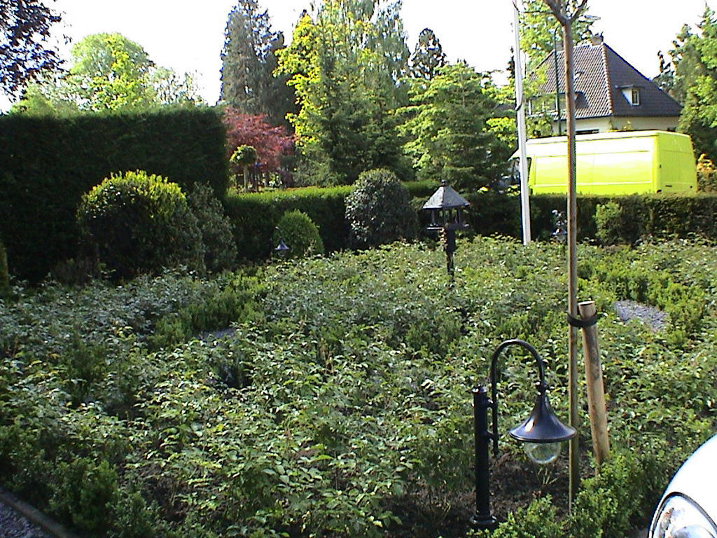 tuinaanleg oisterwijk