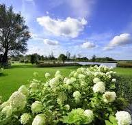 aanleg landelijke tuin