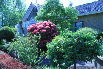 tuinaanleg hoeksche waard