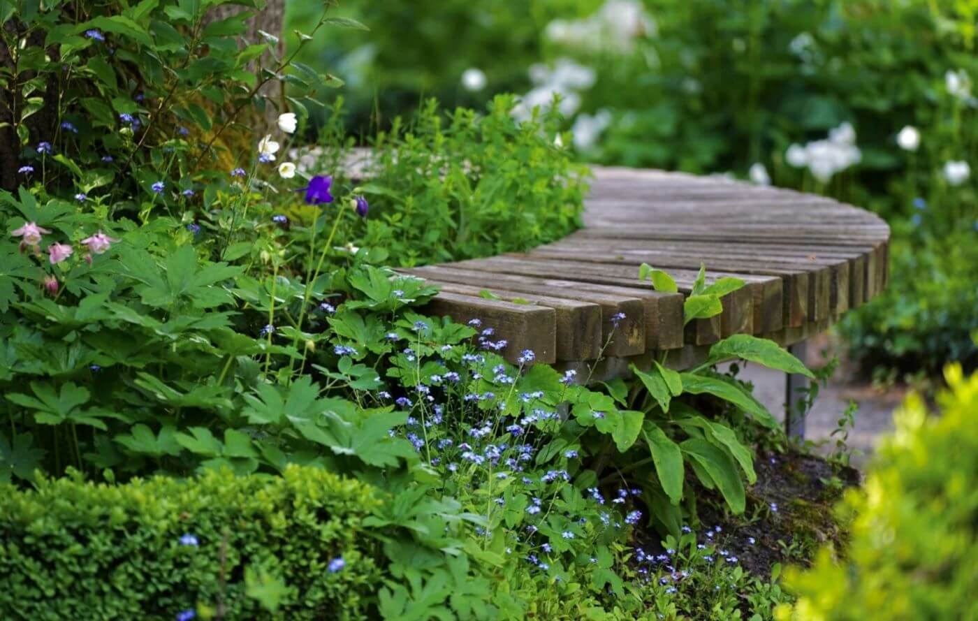 wilde tuin aanleggen